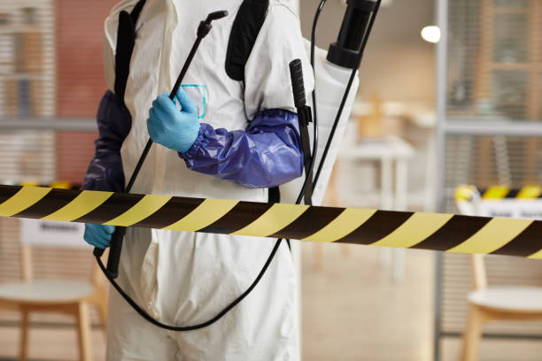Professional Sewage Cleanup technician working in Foley, MN